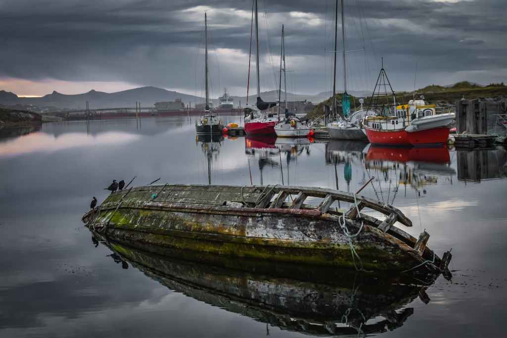 War in the Falkland Islands