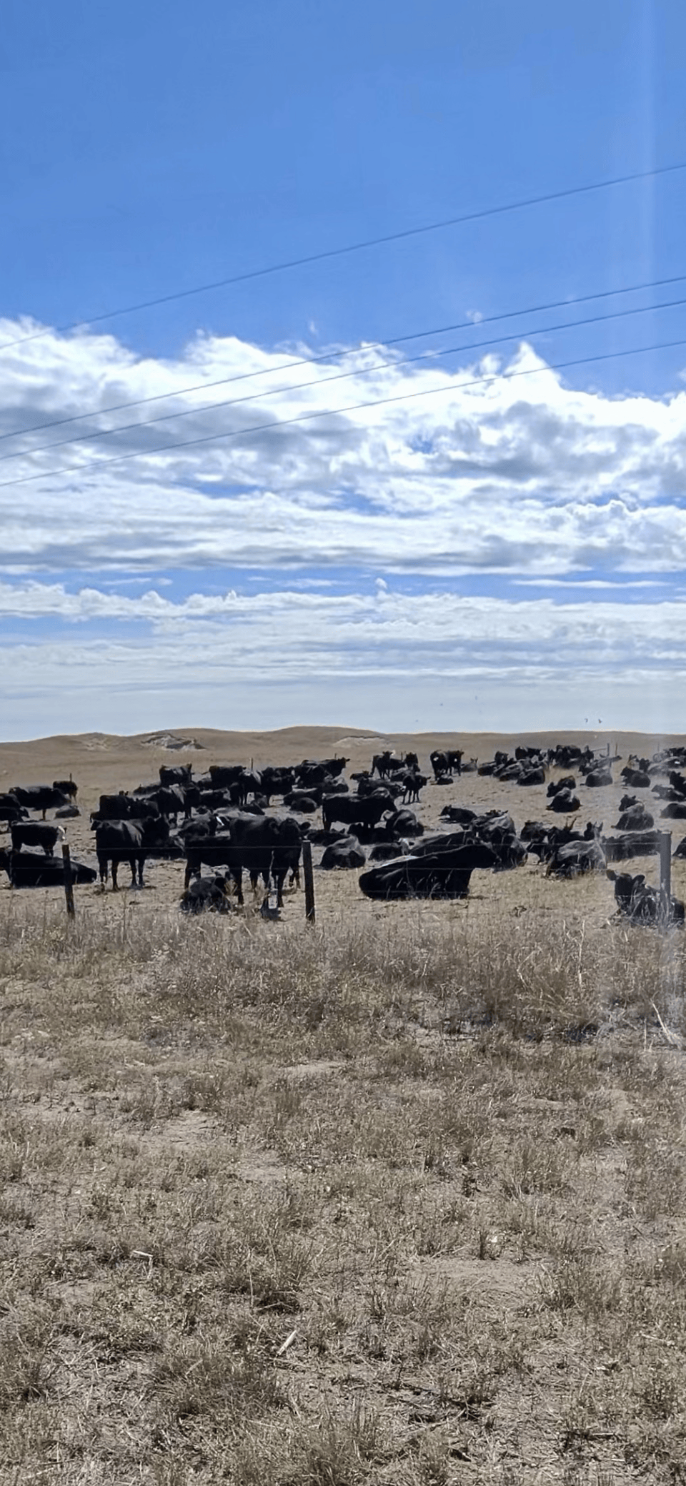 Day #25 Rushville to Nenzel, Nebraska – 75 Miles
